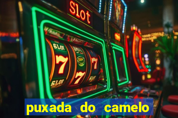 puxada do camelo jogo do bicho